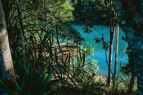 Atherton Tablelands Waterfalls And Rainforest Day Tour Departing Cairns - Accommodation Noosa 5