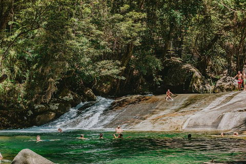Atherton Tablelands Waterfalls And Rainforest Day Tour Departing Cairns - Accommodation Noosa 8