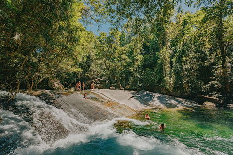Atherton Tablelands Waterfalls And Rainforest Day Tour Departing Cairns - Accommodation Noosa 0