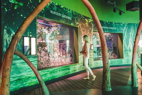 Cairns Aquarium Admission Ticket - Accommodation Noosa 5