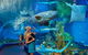 Cairns Aquarium Admission Ticket - thumb 0