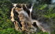 Cairns National Park Rainforest And Waterfall Small Group Tour Shore Excursion - thumb 0