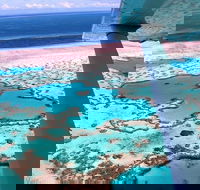 8-Day Cairns Tour Great Barrier Reef Kuranda Daintree Rainforest - Accommodation Noosa