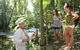 Cairns Daintree Rainforest And Cape Tribulation 2-Day Tour - thumb 3