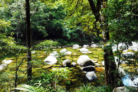 Cairns Daintree Rainforest And Cape Tribulation 2-Day Tour - Accommodation Noosa 0