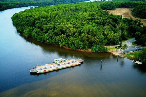 Cairns Daintree Rainforest And Cape Tribulation 2-Day Tour - Accommodation Noosa 7