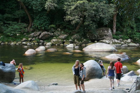 Cairns Daintree Rainforest And Cape Tribulation 2-Day Tour - Accommodation Noosa 9