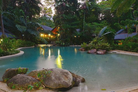 Cairns Daintree Rainforest And Cape Tribulation 2-Day Tour - Accommodation Noosa 6