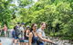 Cairns Daintree Rainforest And Cape Tribulation 2-Day Tour - thumb 2