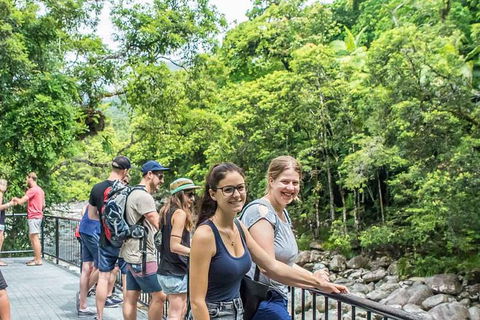 Cairns Daintree Rainforest And Cape Tribulation 2-Day Tour - Accommodation Noosa 2