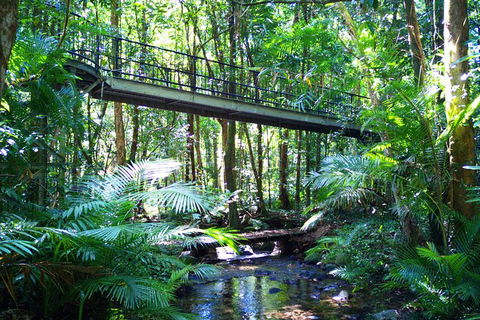Cairns Daintree Rainforest And Cape Tribulation 2-Day Tour - Accommodation Noosa 8
