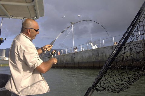Cairns Estuary Fishing - Accommodation Noosa 3