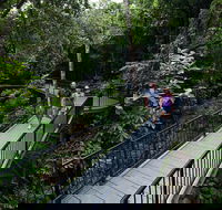 4-Day Cairns with Great Barrier Reef and Daintree Rainforest - Accommodation Noosa