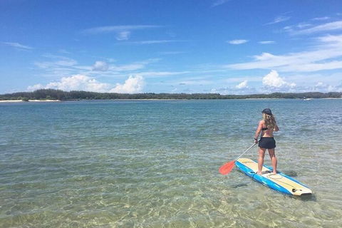 Early Morning Weekend Paddleboard Special - Accommodation Noosa 4