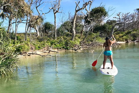 Early Morning Weekend Paddleboard Special - Accommodation Noosa 5