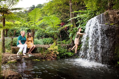 Maleny Botanic Gardens Bird Aviary Experience Ticket - Accommodation Noosa 7