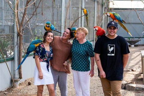 Maleny Botanic Gardens Bird Aviary Experience Ticket - Accommodation Noosa 5