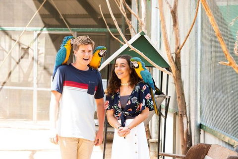 Maleny Botanic Gardens Bird Aviary Experience Ticket - Accommodation Noosa 8