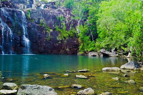 Reef, Wildlife & Rainforest - Reef & Beyond Guided Holidays - Accommodation Noosa 0