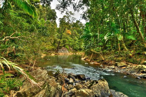 Reef, Wildlife & Rainforest - Reef & Beyond Guided Holidays - Accommodation Noosa 3