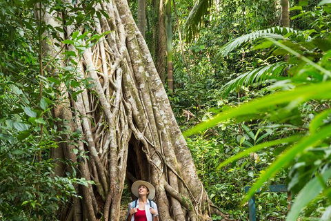 Reef, Wildlife & Rainforest - Reef & Beyond Guided Holidays - Accommodation Noosa 2
