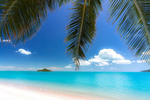 Rainforest To Reef Experience - Reef And Beyond Guided Holidays - Accommodation Noosa 1