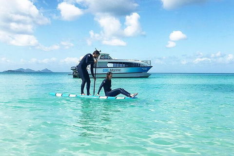 Rainforest To Reef Experience - Reef And Beyond Guided Holidays - Accommodation Noosa 3