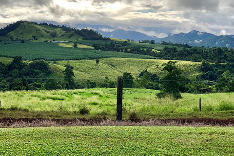 Tableland Tasting Tour - Accommodation Noosa 0