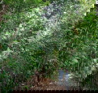 Private Group Eco Tour - Accommodation Noosa
