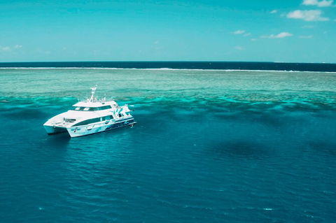 Australia East Coast: End Of Semester - Accommodation Noosa 1
