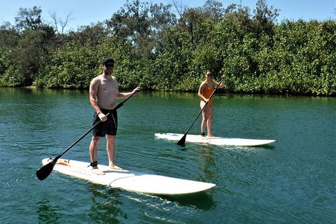 Paddle Board Hire In Surfers Paradise - Accommodation Noosa 2