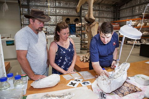 Australian Dinosaur Giants Tour - Accommodation Noosa 0