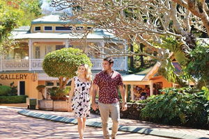 Full-Day Guided Tour to Montville Village with Lunch
