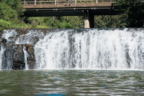 Tablelands Food & Wine Tour - Accommodation Noosa 6