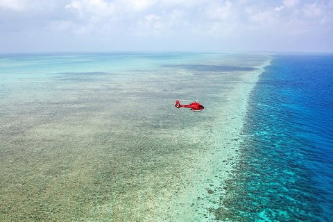 Day Tour To Kuranda, Rainforest And Port Douglas With Flight - Accommodation Noosa 3