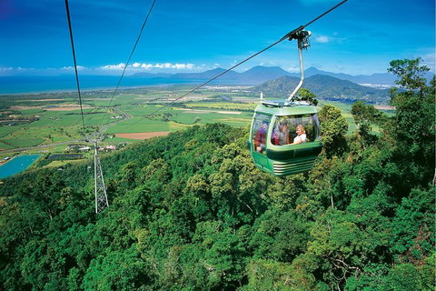 Day Tour To Kuranda, Rainforest And Port Douglas With Flight - Accommodation Noosa 5