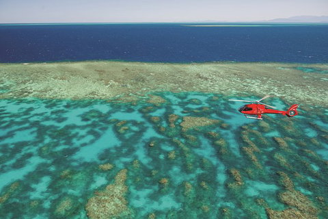Day Tour To Kuranda, Rainforest And Port Douglas With Flight - Accommodation Noosa 0