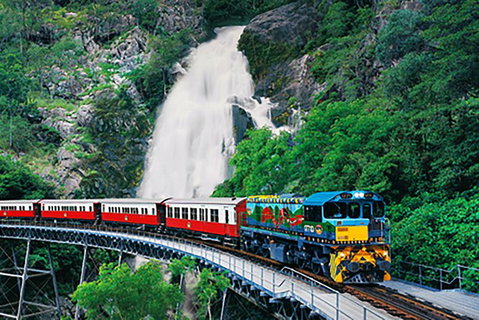 Day Tour To Kuranda, Rainforest And Port Douglas With Flight - Accommodation Noosa 4