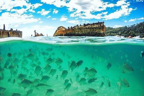 Adventure Moreton Island Day Pass - Accommodation Noosa 1