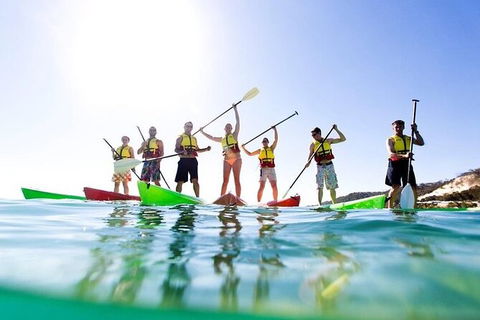 Adventure Moreton Island Day Pass - Accommodation Noosa 2