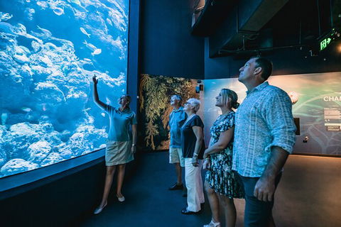 Cairns Aquarium By Twilight With 3 Course Dinner - Accommodation Noosa 0