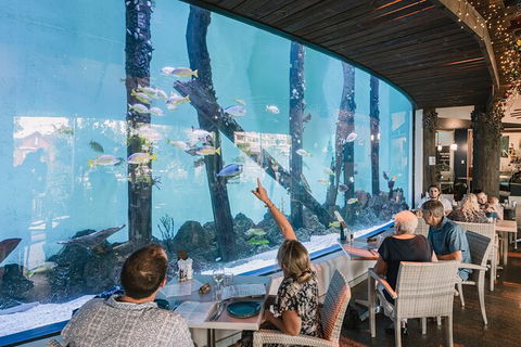 Cairns Aquarium By Twilight With 3 Course Dinner - Accommodation Noosa 1