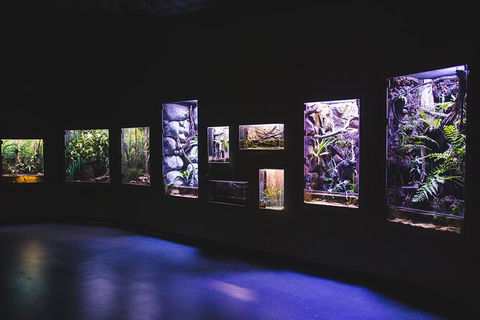 Cairns Aquarium By Twilight With 3 Course Dinner - Accommodation Noosa 3