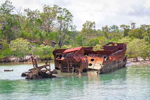 Sandy Straits Scenic & Wildlife Cruise - Accommodation Noosa 9