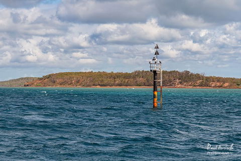Sandy Straits Scenic & Wildlife Cruise - Accommodation Noosa 6