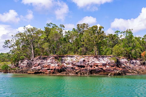 Sandy Straits Scenic & Wildlife Cruise - Accommodation Noosa 2