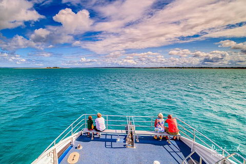 Sandy Straits Scenic & Wildlife Cruise - Accommodation Noosa 7