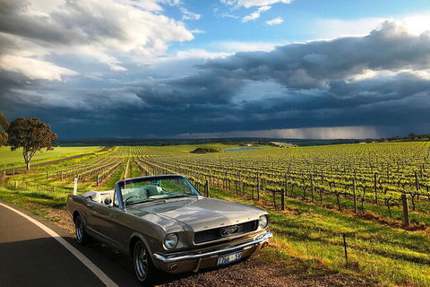 Classic Mustang Convertible Barossa Valley Half Day Private Tour For 2 - Accommodation Noosa 7