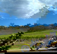 Unique Trike Barossa Valley Half Day Private Tour For 2 - Accommodation Noosa