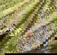 Beyond The Velvet Rope - Behind the Scenes Tour - Accommodation Noosa